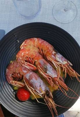 Le Restaurant - La Poivrière - Restaurant Châteaurenard - bien manger CHATEAURENARD